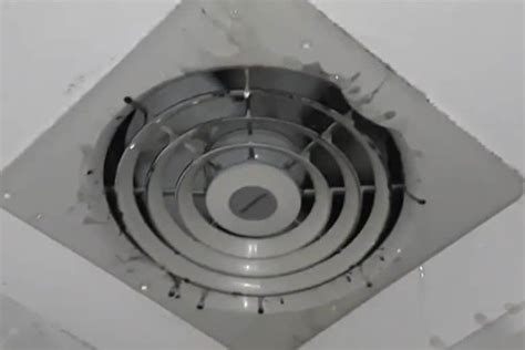 water dripping from bathroom exhaust fan when it rains|How to Fix a Leaking Bathroom Exhaust Fan During。